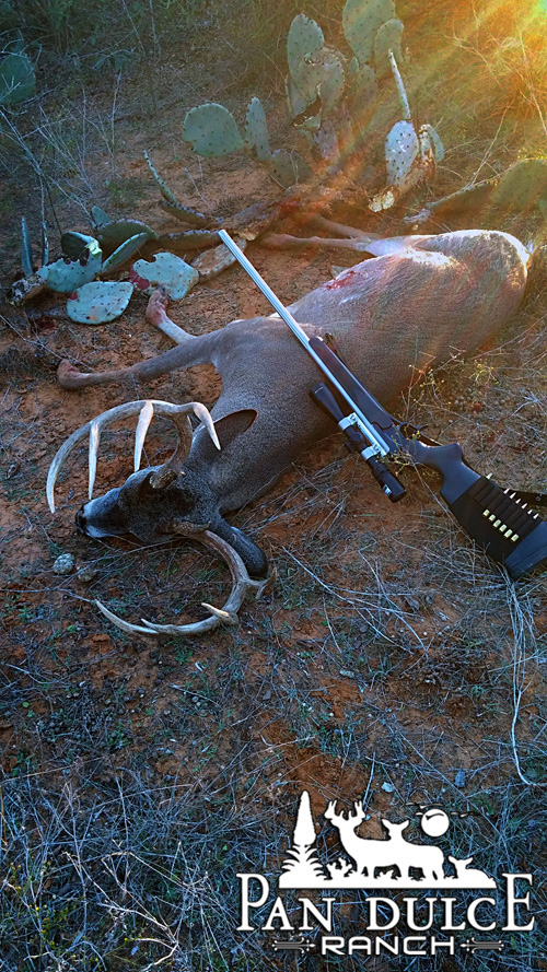 South Texas Hunting