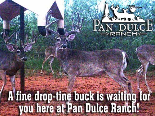 Pan Dulce Ranch