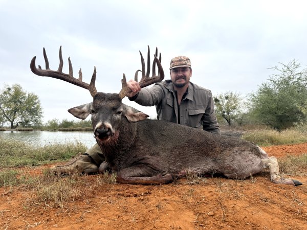 This is a GREAT buck!